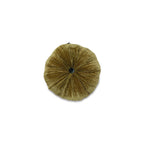 Coussin Sweet Absinthe - Le Monde Sauvage