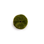 Coussin Sweet Hanoï