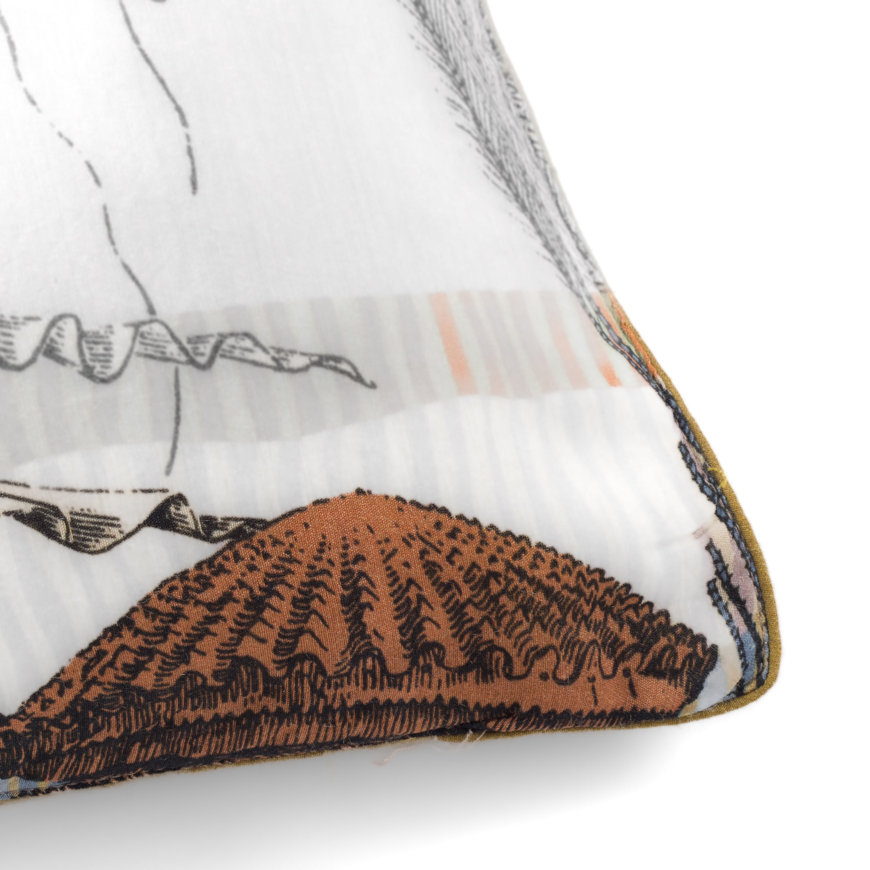 Jelly Bestiary Cushion