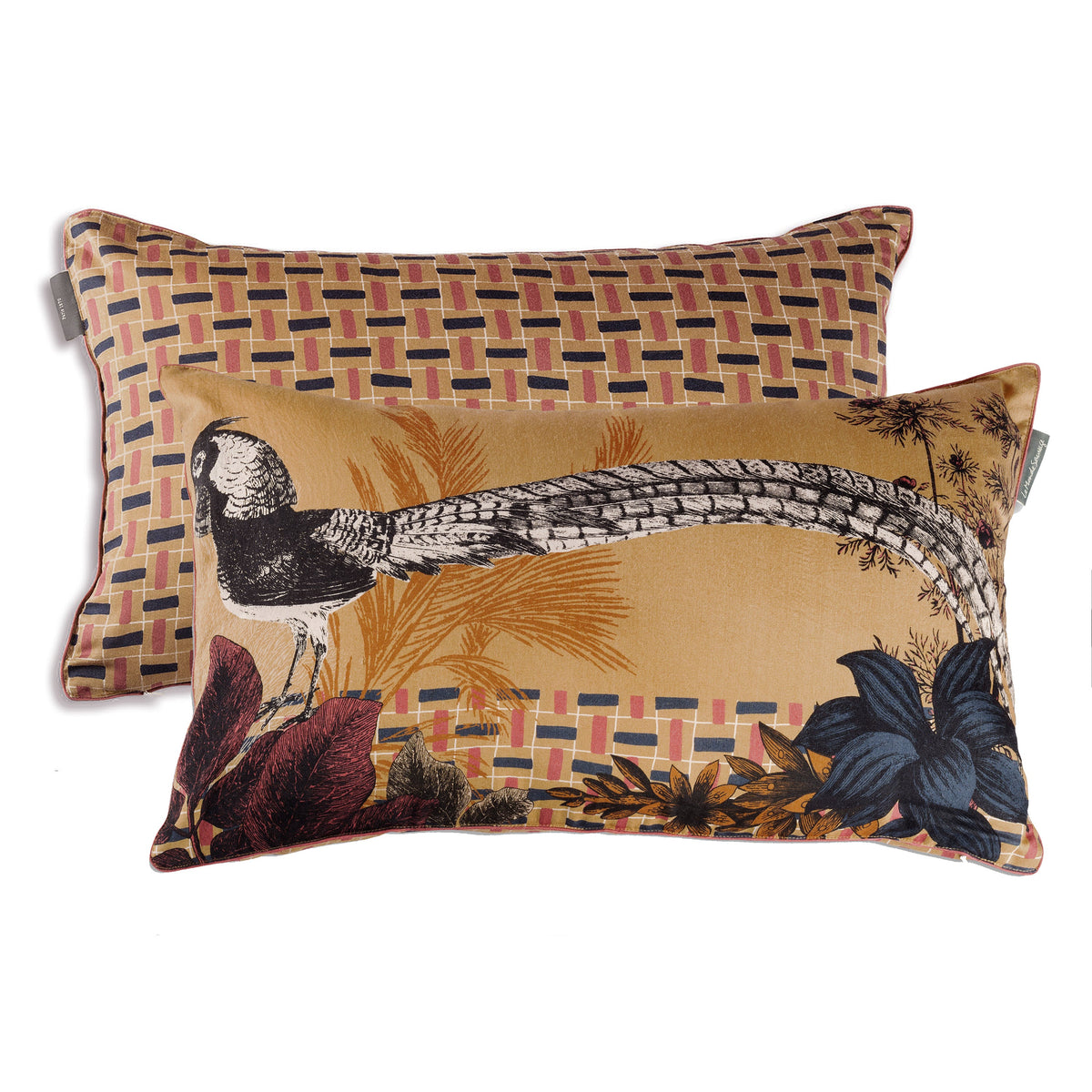 022307_5407 Hocco - Le Monde Sauvage 