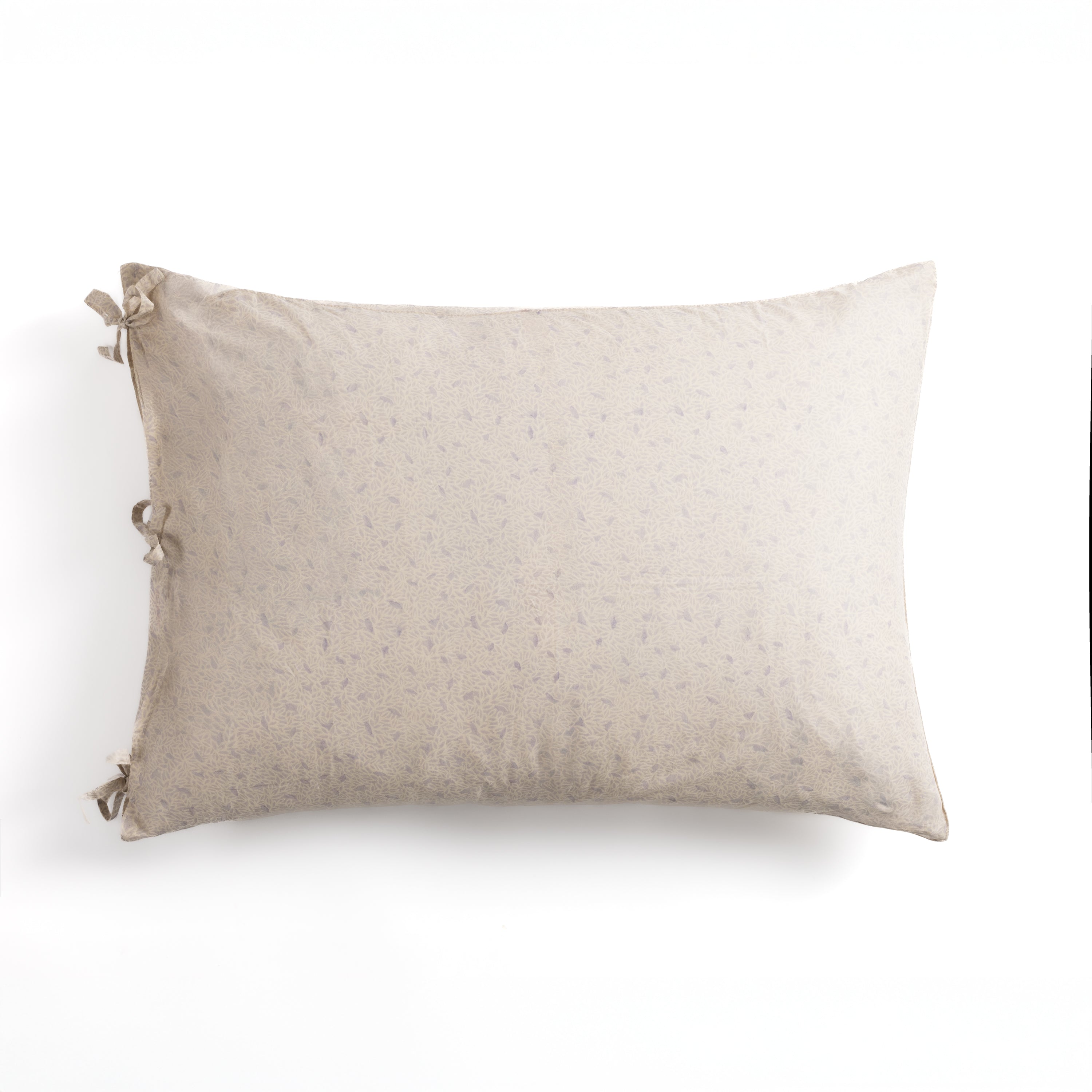 Set of 2 Uyuni Breath pillowcases