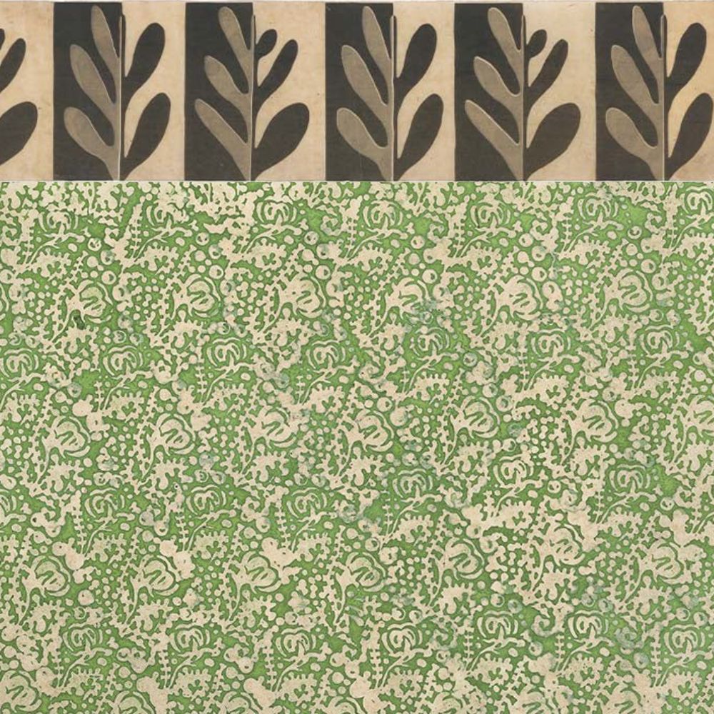 Superfrise Alga Zurich - Le Monde Sauvage