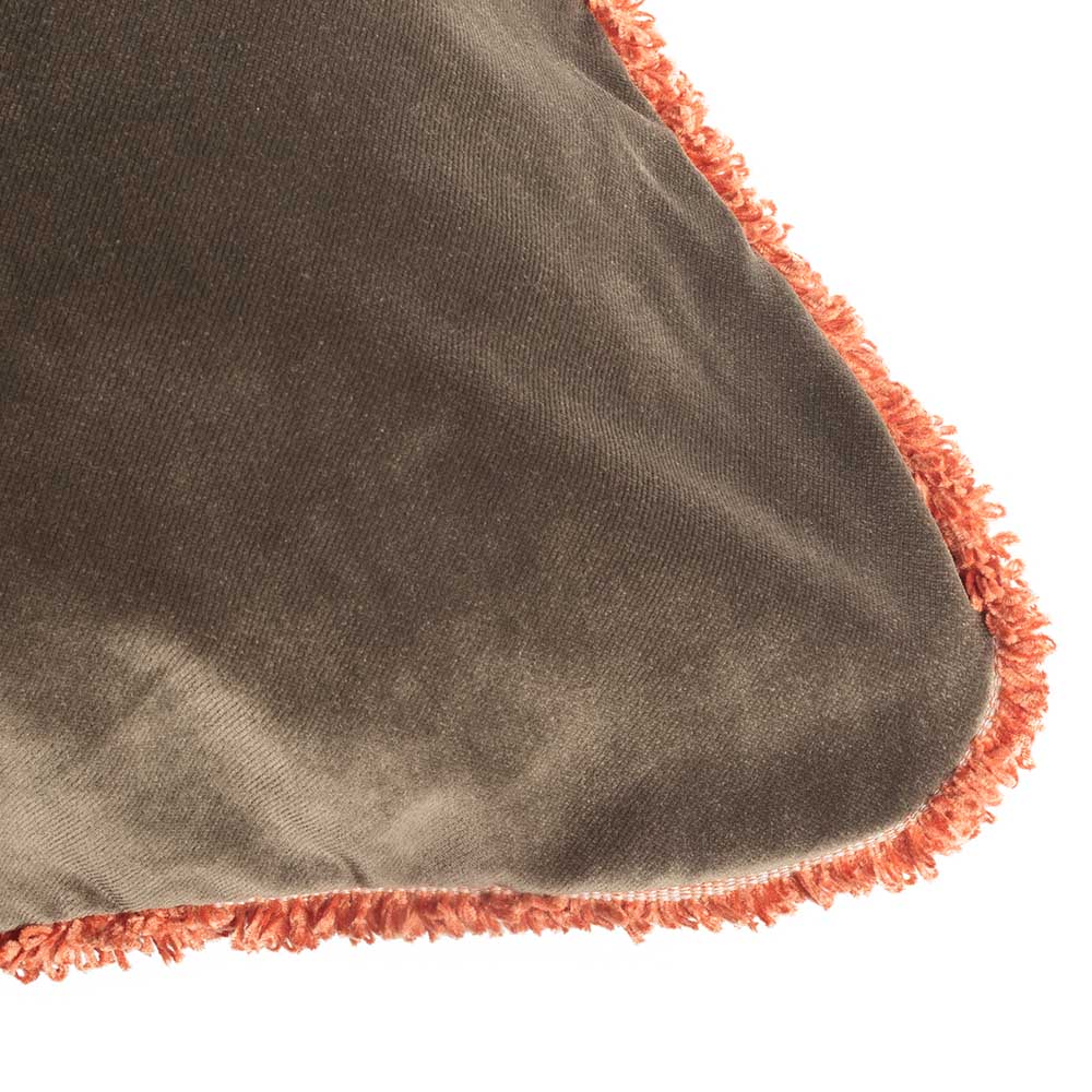 Coussin Le Magicien Bran - Le Monde Sauvage