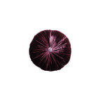Coussin Sweet Lhassa - Le Monde Sauvage 