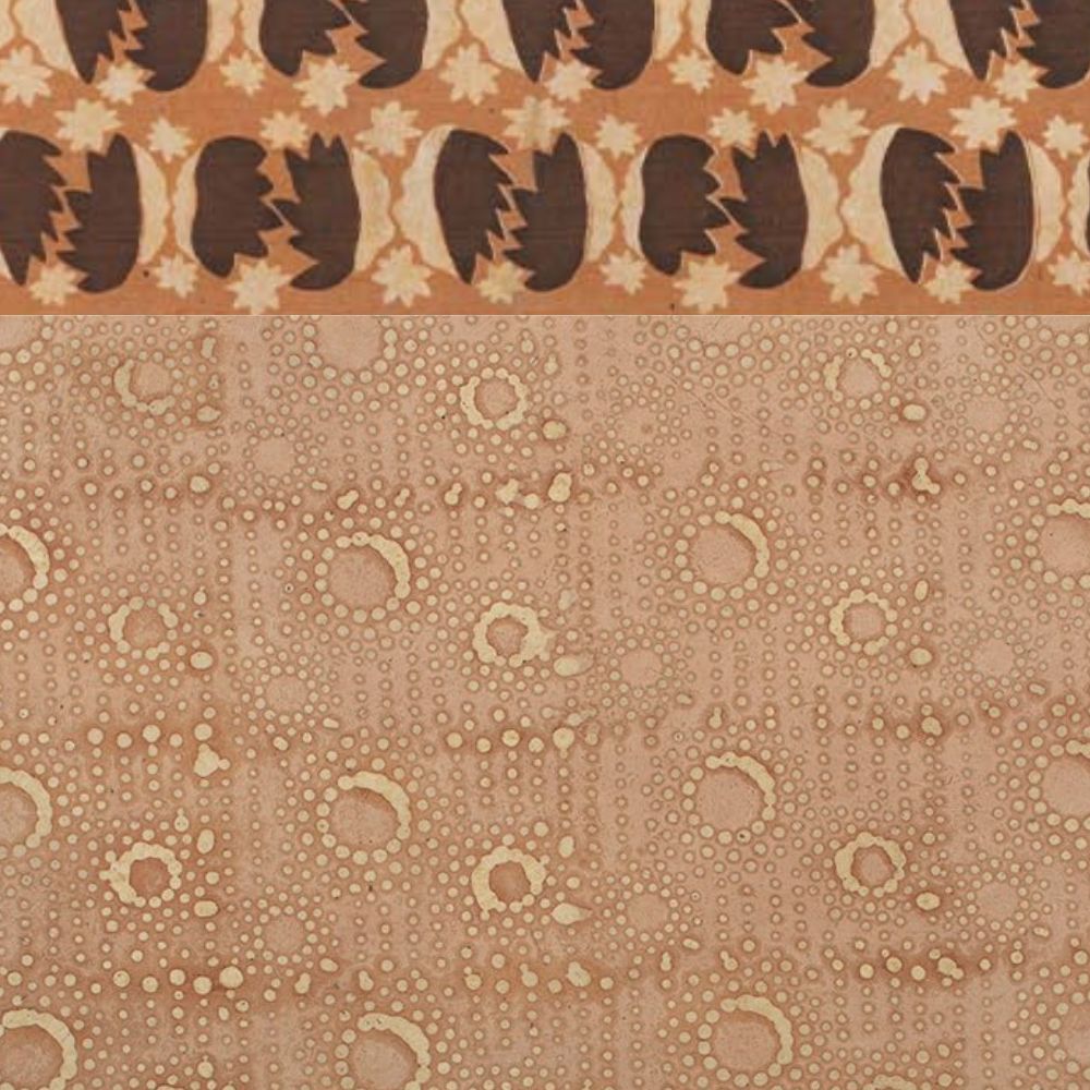 Superfrise Kimi Bran - Le Monde Sauvage