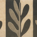 Superfrise Alga Zurich - Le Monde Sauvage