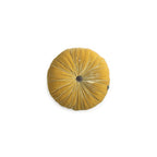 Sweet Madras Cushion