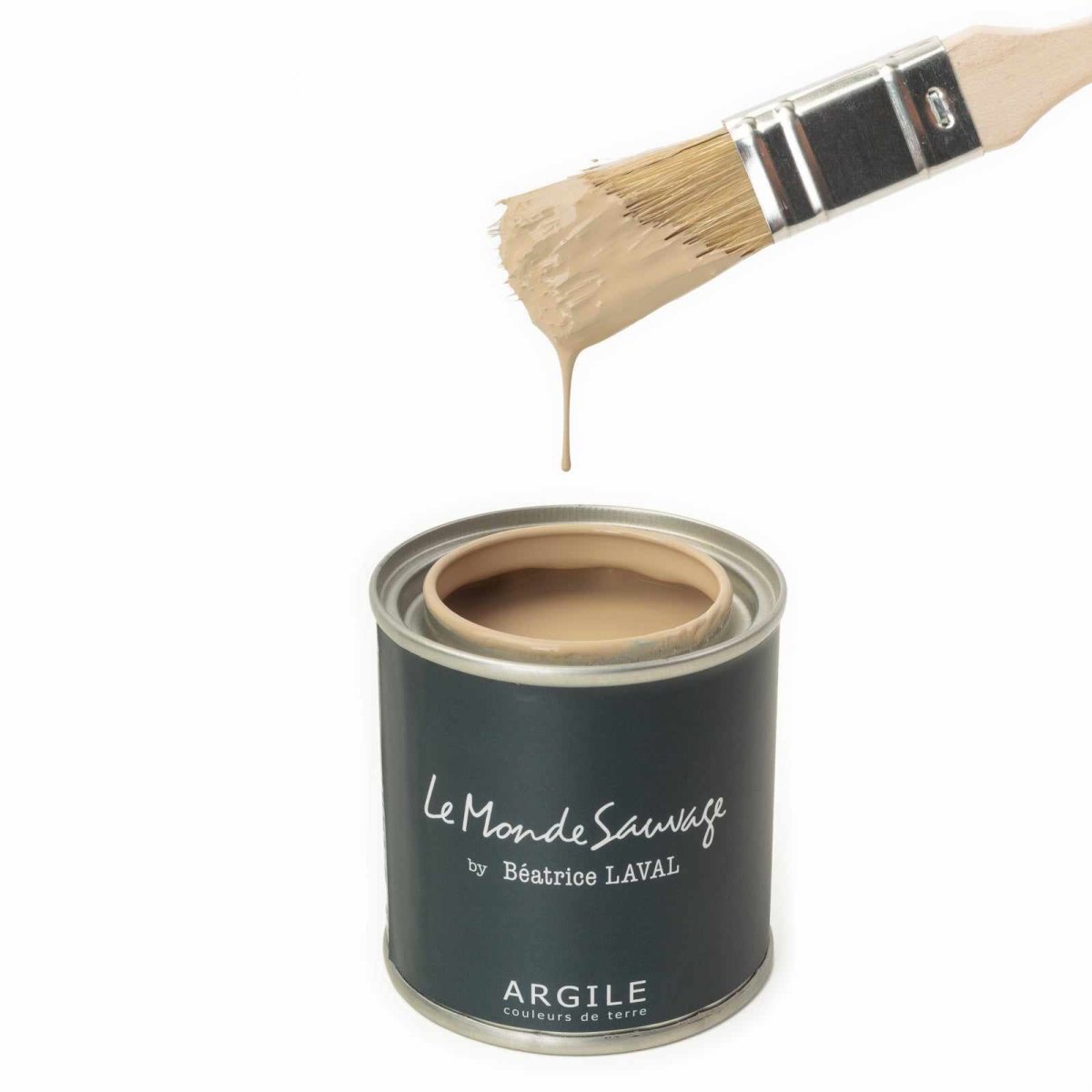 Le Monde Sauvage - Peinture Assouan